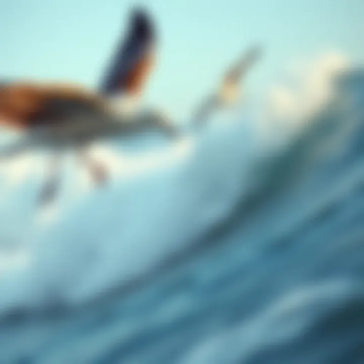 Surfboard riding the waves in the ocean