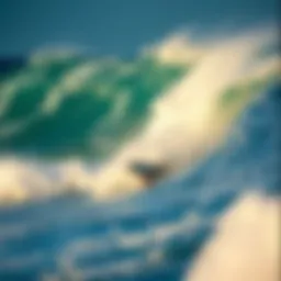 Dynamic wave riding experience with a surfboard