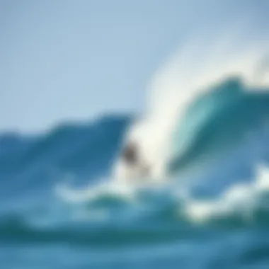 Surfer riding an epic wave at a renowned surf destination