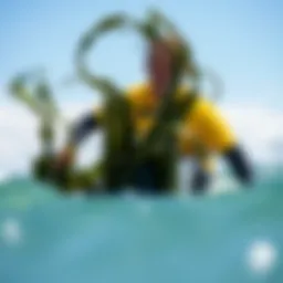 The Benefits of Roasted Seaweed: A Nutritional and Culinary Perspective Introduction
