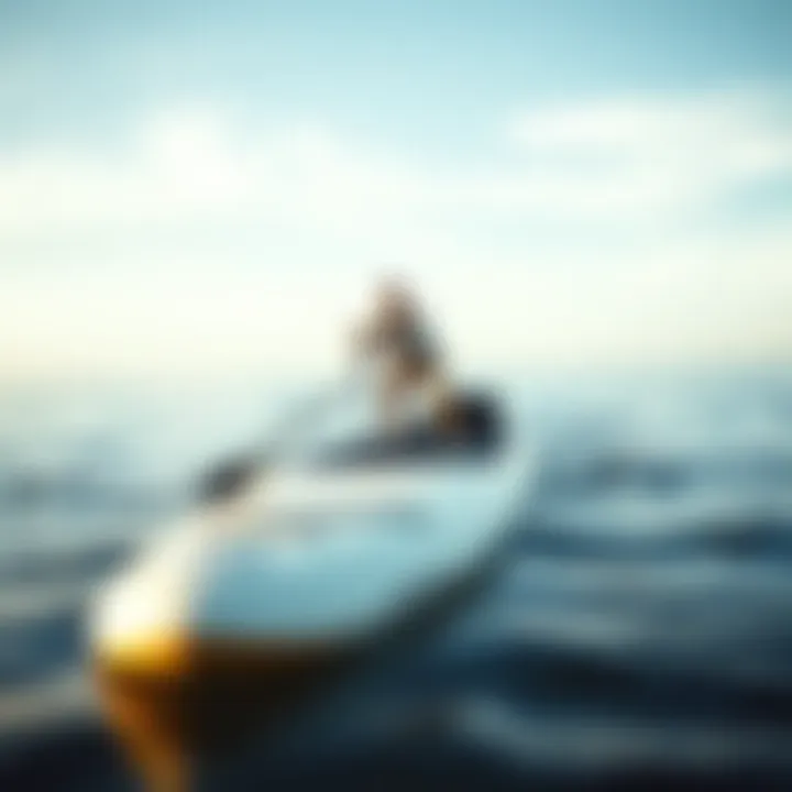 Sturdy inflatable paddle board on water