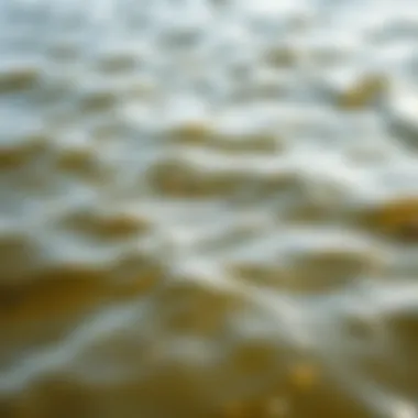 The Impact of Sediments on Coastal Water Color Sediment-rich coastal waters showcasing murky shades