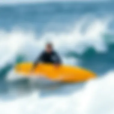 The Comprehensive Landscape of the Biggest Online Surf Shop Summary The Comprehensive Landscape of the Biggest Online Surf Shop Summary