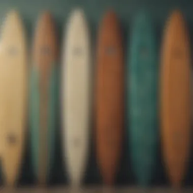 An assortment of surfboards showcasing different shapes and styles