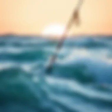 Notable The Essential Guide to Catch Surf Leashes: Functionality and Selection