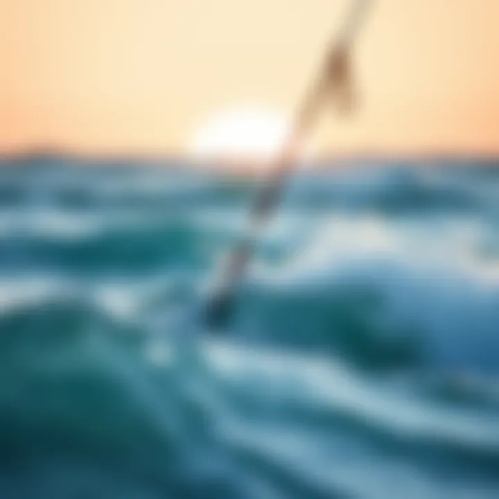 Notable The Essential Guide to Catch Surf Leashes: Functionality and Selection