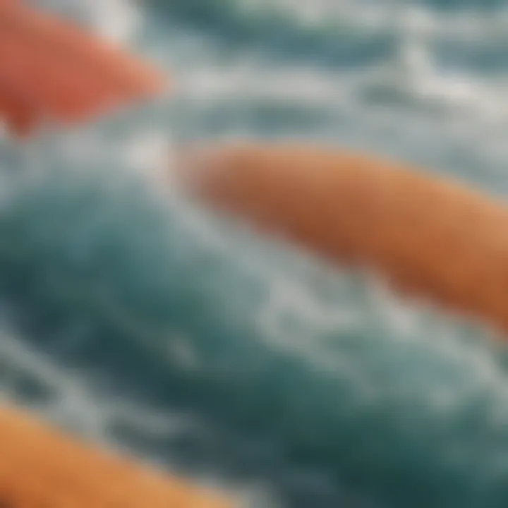 Close-up of various surf pad textures