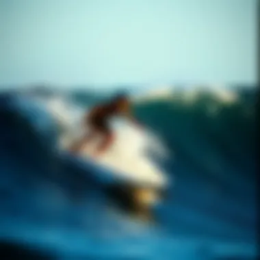 The Intricacies of South Bay Skimboarding Summary The Intricacies of South Bay Skimboarding Summary