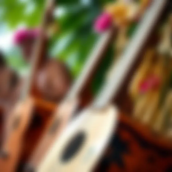 Close-up of musical instruments used in luau dance