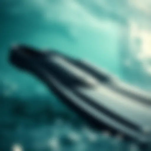 Close-up of swim fins showcasing flexibility and material quality