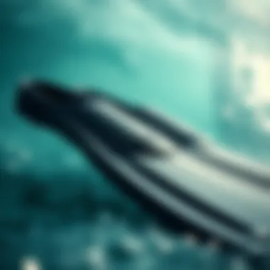 Flexibility and Material Quality in Swim Fins Close-up of swim fins showcasing flexibility and material quality