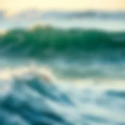 The Profound Serenity of Ocean Waves and Sounds Introduction