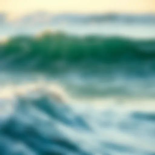 The Profound Serenity of Ocean Waves and Sounds Introduction