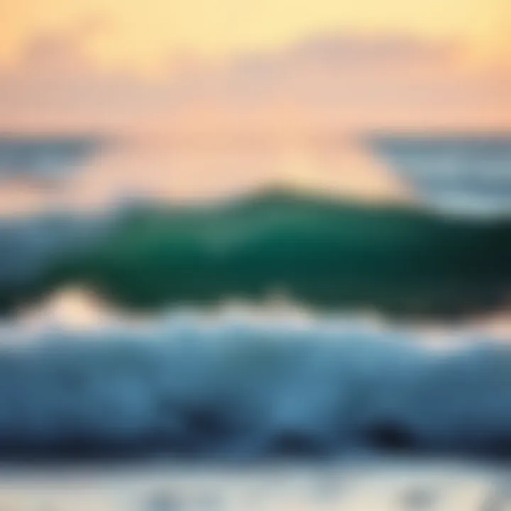 The Profound Serenity of Ocean Waves and Sounds Summary