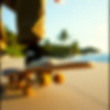 The Versatile World of Skate Cruiser Decks Summary The Versatile World of Skate Cruiser Decks Summary