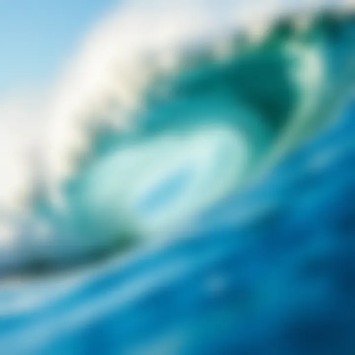 Notable The Wave Manifest: Artistic Interpretations in Surf Culture Notable The Wave Manifest: Artistic Interpretations in Surf Culture