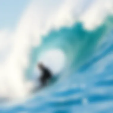 The Wave Manifest: Artistic Interpretations in Surf Culture Summary The Wave Manifest: Artistic Interpretations in Surf Culture Summary