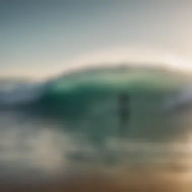 Group of surfers checking swell forecasts