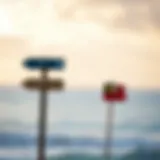 Visual representation of natural wind indicators in nature