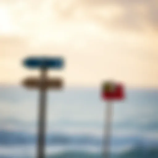 Visual representation of natural wind indicators in nature