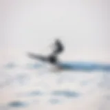 An electric hydrofoil gliding smoothly over water