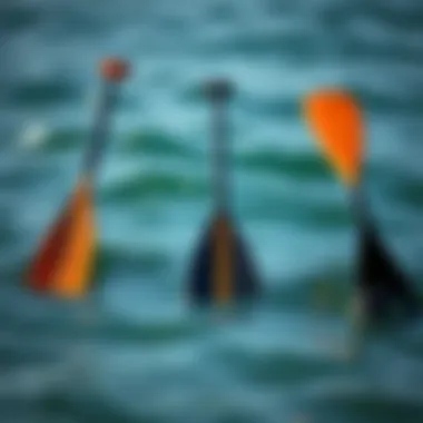 Analyzing Paddle Designs Comparison of paddle designs