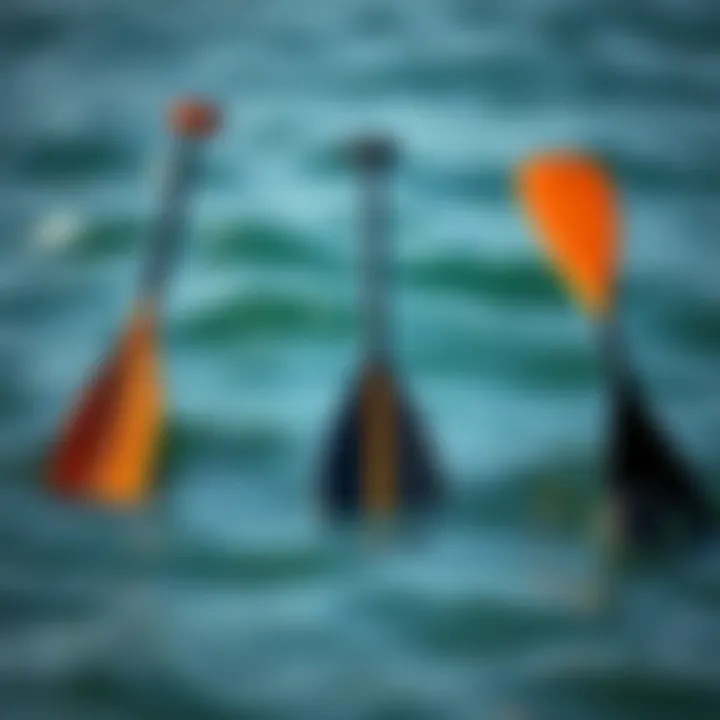 Analyzing Paddle Designs Comparison of paddle designs
