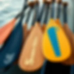 Diverse selection of paddle board paddles