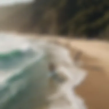 A group of skimboarders enjoying a vibrant beach scene