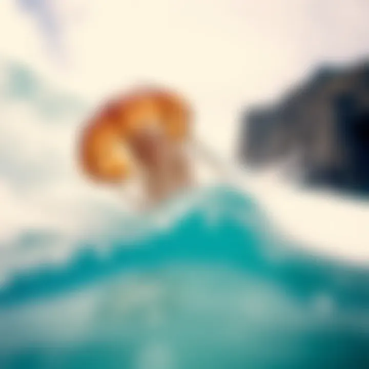 Surfer Encountering a Jellyfish Illustration depicting a surfer encountering a jellyfish