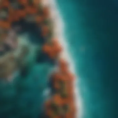 Aerial view of a vibrant coral reef with surfers