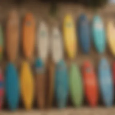 An array of popular skimboard brands displayed on a vibrant background