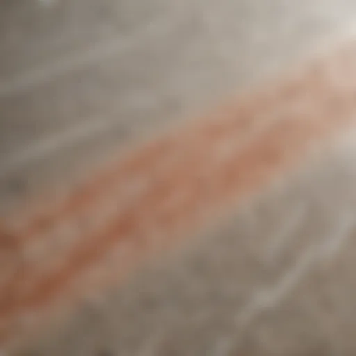 Close-up view of the textured surface of a skimboard