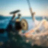 Understanding Surf Fishing Reel Size Introduction