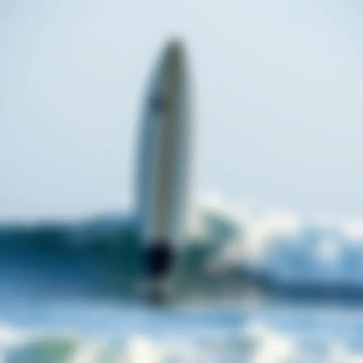 Visual representation of surfboard size variations