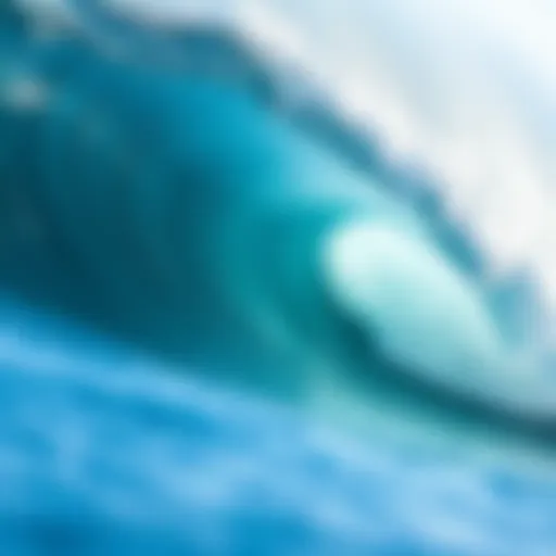 A dynamic ocean wave with clear blue water