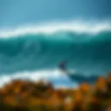 Detailed visualization of global wind patterns