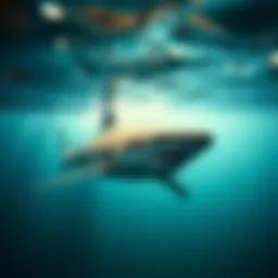 A majestic shark gliding through clear ocean waters