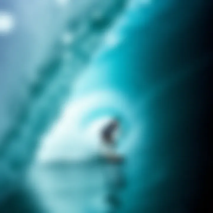 Understanding the Sharkbite Depth Chart: A Guide for Surfboard Enthusiasts Summary