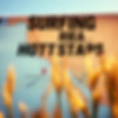 Detailed wind forecast map highlighting surfing hotspots in the USA