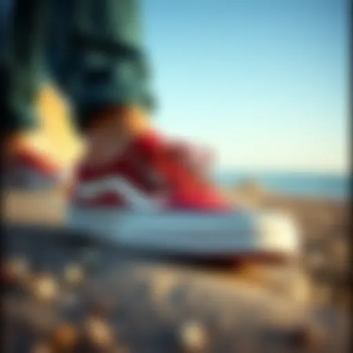 Understanding Vans Shoes: A Comprehensive Exploration Introduction