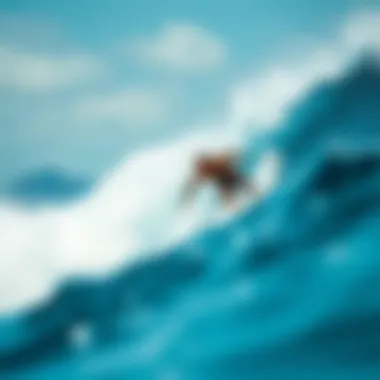 Water Extreme Sports: An In-Depth Exploration Summary Water Extreme Sports: An In-Depth Exploration Summary