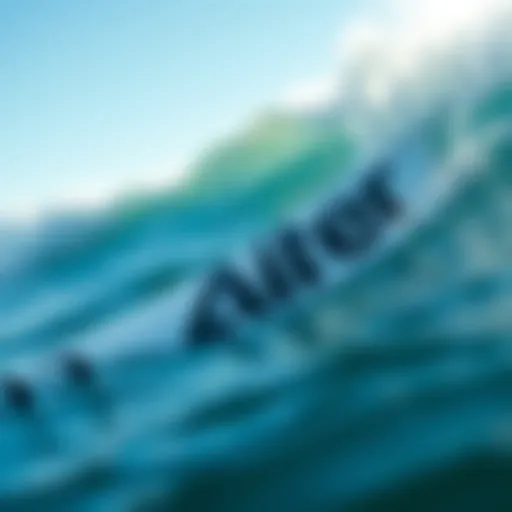 Waterproof Surfboard Stickers: Utility Beyond Aesthetics Introduction