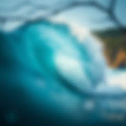 Waves on: A Deep Dive into the Dynamics of Surfing Introduction